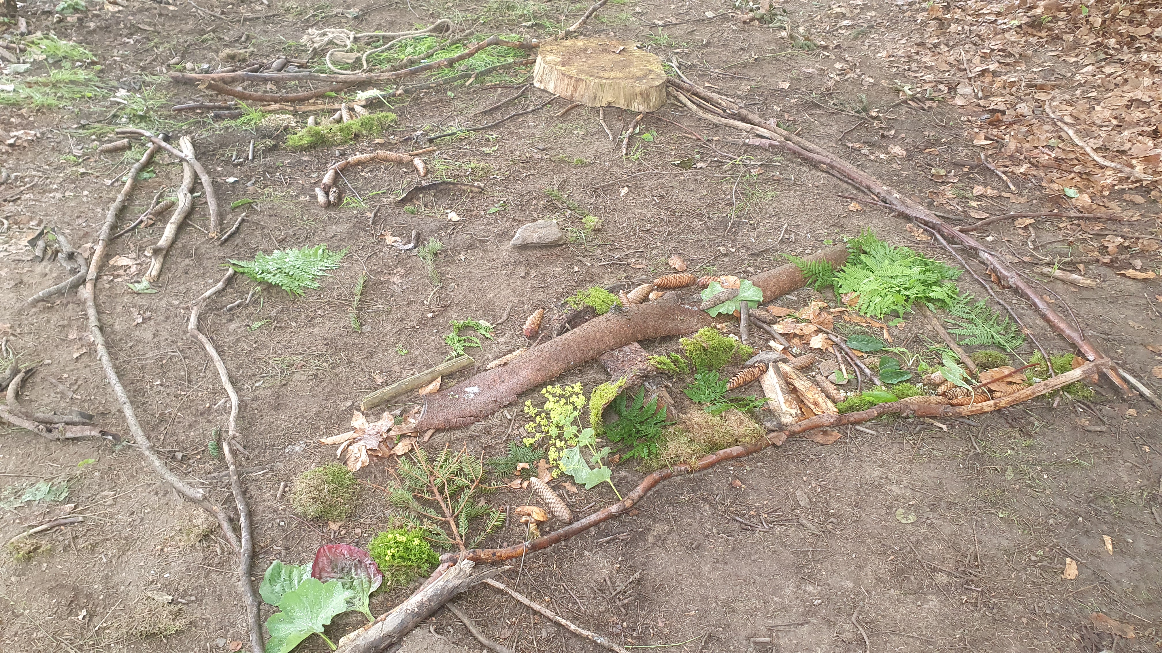 gemeinsam Naturbilder gestalten