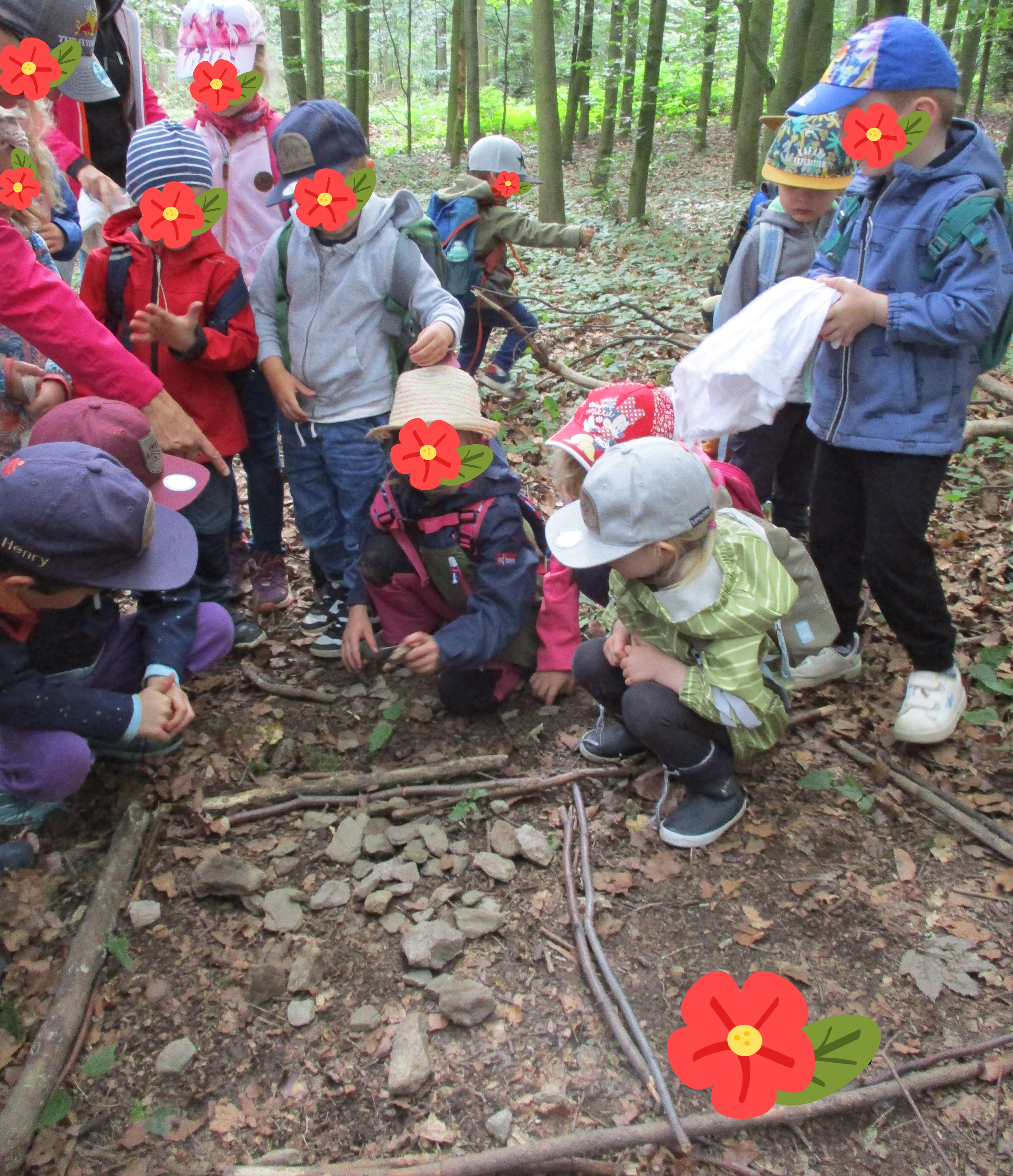 Wald spielerisch erleben