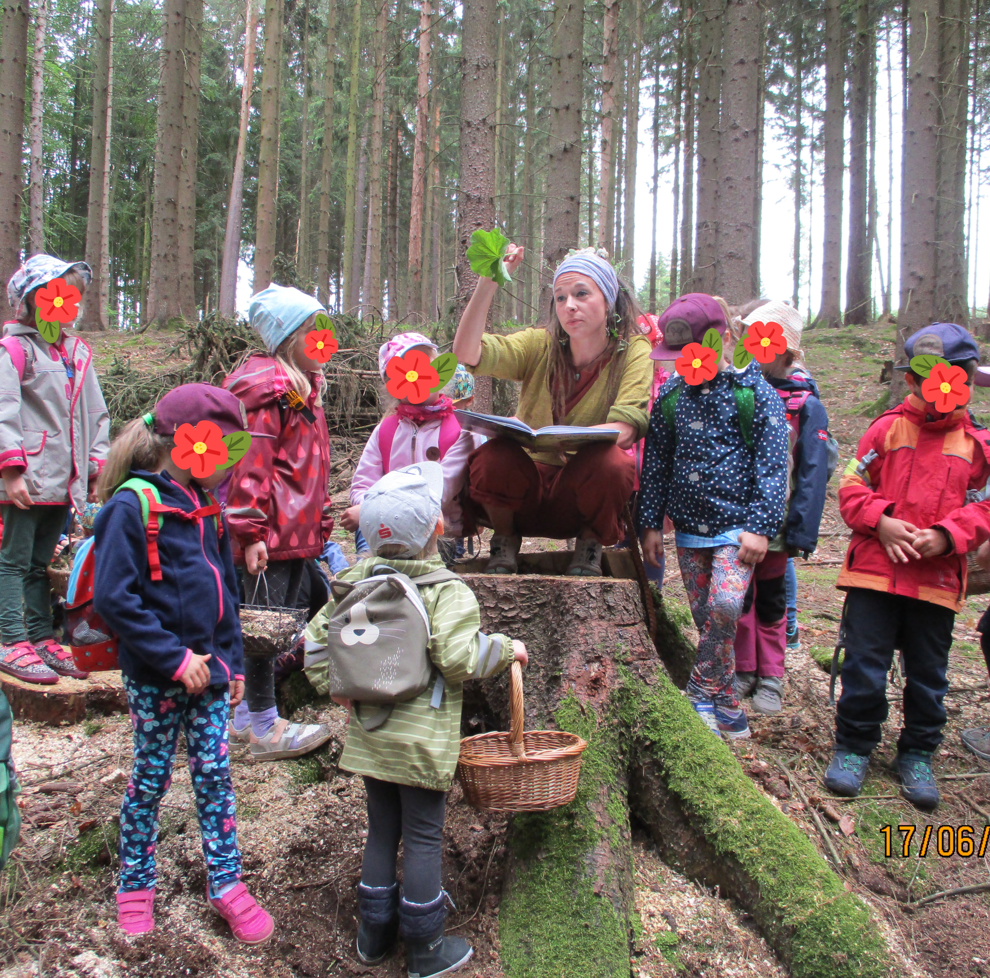 Geschichten  der Pflanzen erzählen